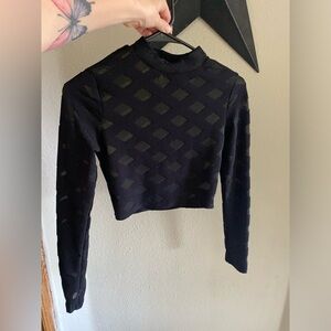 Small mesh long sleeve crop top